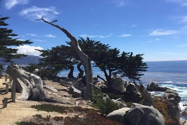 San Francisco Monterey Peninsula and Carmel Tour - Image 3