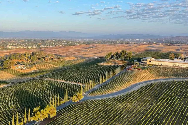 Temecula to San Diego Airport Transfer - Image 6