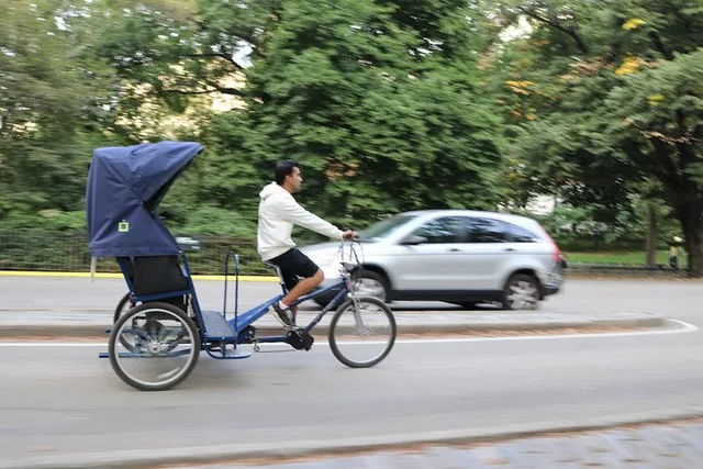 New York City Central Park Pedicab Tour - Image 3