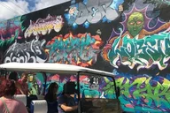 Miami Wynwood Graffiti Brewery Golf Cart Tour 75 min thumbnail 6