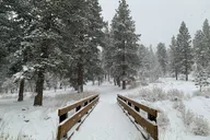 Las Vegas Mount Charleston Tour thumbnail 1