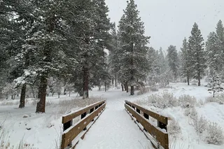 Las Vegas Mount Charleston Tour