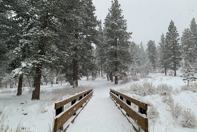 Las Vegas Mount Charleston Tour - Image 1