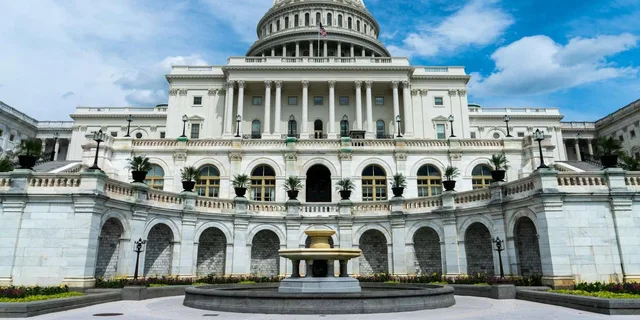 Washington, D.C. U.S. Capitol and Monuments Walking Tour - Image 1