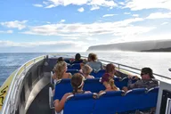 Kauai Snorkel Tour to Niihau - The Forbidden Island thumbnail 3