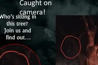 St. Augustine Paranormal Investigation Tour thumbnail 6