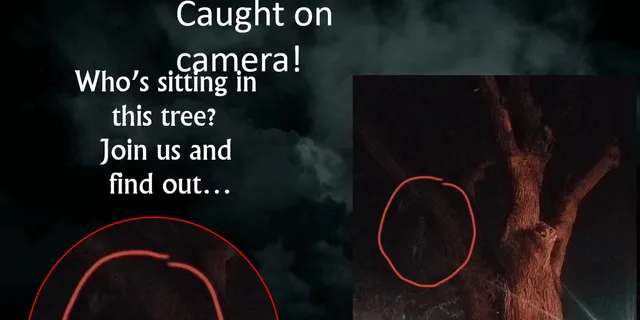 St. Augustine Paranormal Investigation Tour - Image 6