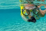 Fort Lauderdale Snorkel Tour at Jean Cousteau's Reef thumbnail 3
