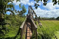Kauai Island Tour: Waimea Canyon and Kalalau Lookout thumbnail 3
