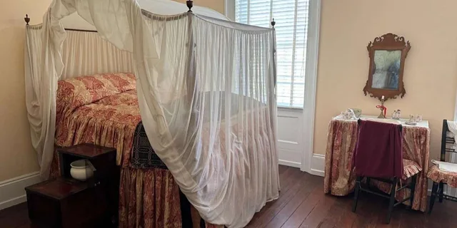 Savannah Davenport House Museum Guided Tour - Image 4