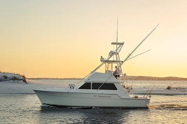 Destin Family Fishing Charter on a 42’ Sportfish - Image 1