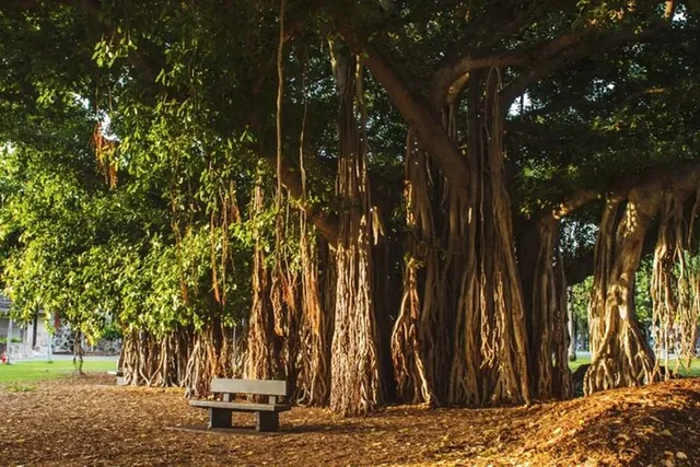 Oahu Film Locations Private Tour - Image 2