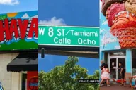 Miami City Tour and Speedboat Adventure thumbnail 2