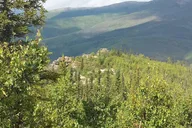 White Mountains Hiking Adventure thumbnail 6