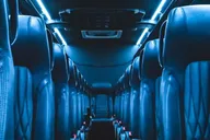 Fort Lauderdale Mini Bus Tour thumbnail 2