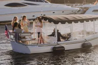 Miami E-Boat Cruise with Wine and Charcuterie 2 hr thumbnail 4