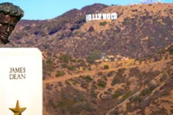 Los Angeles Guided Tour: Getty Center to Griffith Observatory thumbnail 5