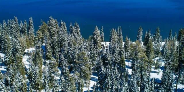 Cupertino Lake Tahoe Small Group Tour - Image 4