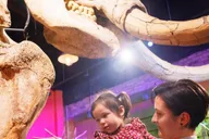 San Antonio Ripley's Believe It or Not! 4 Attraction Ticket thumbnail 2
