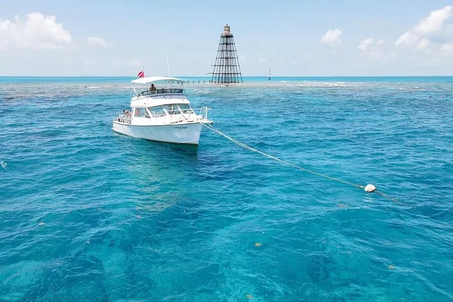 Key West Snorkel Adventure - Image 2