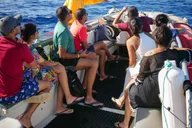 Kihei Molokini Crater and Turtle Town Snorkeling thumbnail 2
