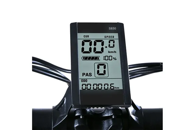 New York City E-Bike Rental - Image 2