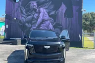 Miami Luxury Ride thumbnail 3