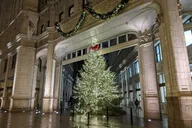 Chicago Christmas Tree Crawl thumbnail 6