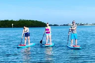 St. Petersburg Kayak Rental to John's Pass Sandbar thumbnail 5