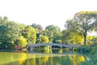 New York Central Park Pedicab Tour thumbnail 6