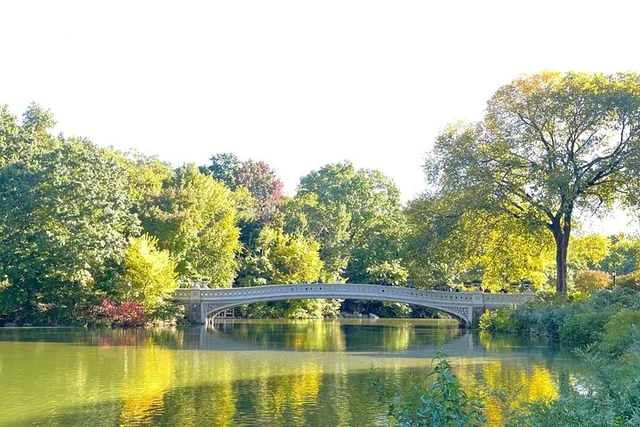 New York Central Park Pedicab Tour - Image 6