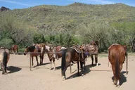 Old West Horseback Adventure with Cowboy Lunch thumbnail 4