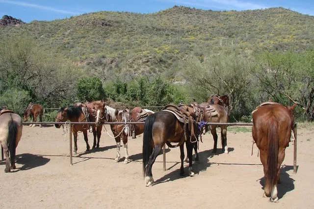 Old West Horseback Adventure with Cowboy Lunch - Image 4