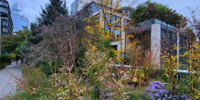 New York City High Line Park Walking Tour - Image 6