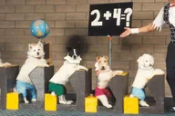 Las Vegas Comedy Pet Theater thumbnail 2
