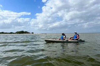 Space Coast Manatee and Coastal Wildlife Kayak Tour