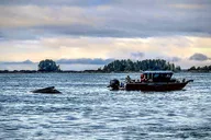 Sitka Wildlife Boat Tour thumbnail 5