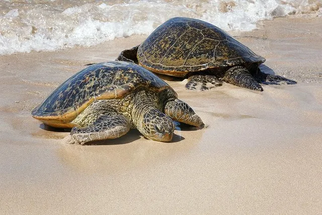 Oahu Island Photography Tour - Image 5