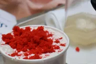 Brooklyn Ice Cream Workshop thumbnail 4