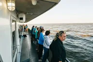 Cape May Sunset Cruise & Dolphin Watching 2 hr thumbnail 4