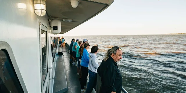 Cape May Sunset Cruise & Dolphin Watching 2 hr - Image 4