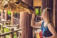 New York Bronx Zoo Tour with Private Transfers thumbnail 2