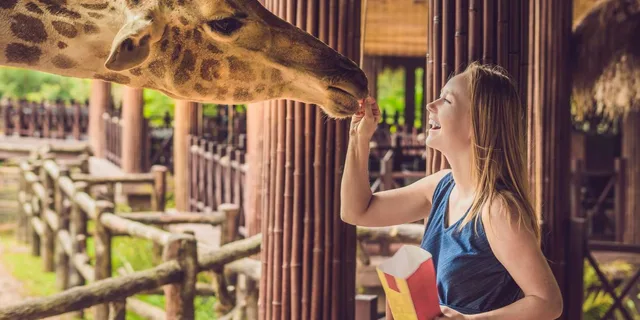 New York Bronx Zoo Tour with Private Transfers - Image 2