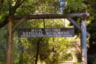San Francisco Muir Woods and Sausalito Private Tour 4 hr thumbnail 1