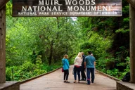 San Francisco Muir Woods & Sausalito Tour with Ferry thumbnail 5