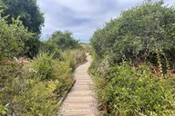Morro Bay Nature Tour with Tasting 90 min thumbnail 5