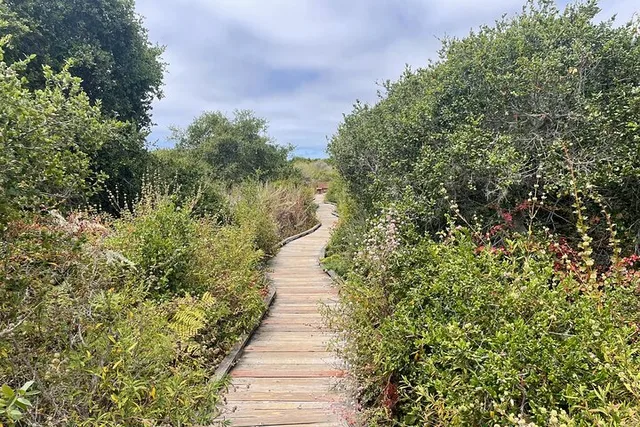 Morro Bay Nature Tour with Tasting 90 min - Image 5