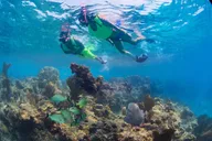 Key West Reef Snorkel and Sunset Sail thumbnail 2