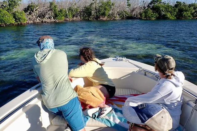 Big Pine Key Eco Boat Tour - Image 4