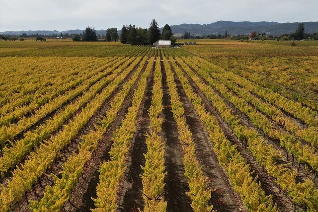 Napa Valley ATV Vineyard Tour and Wine Tasting - Image 3